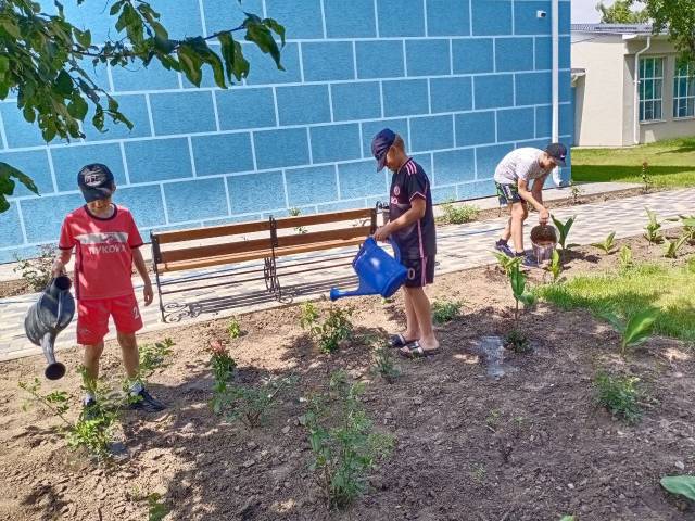 Летняя оздоровительная кампания - 2024.