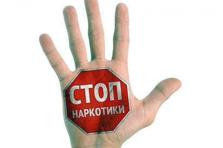 Профилактики употребления наркотических средств.