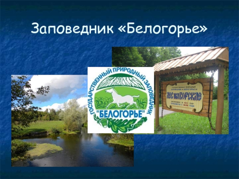 Заповедник «Белогорье».